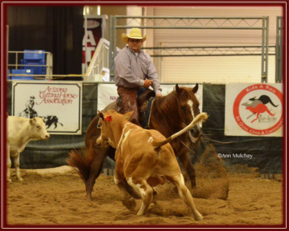 Freckled Nocona